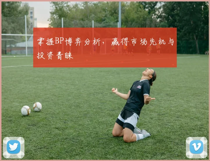 掌握BP博弈分析，赢得市场先机与投资青睐