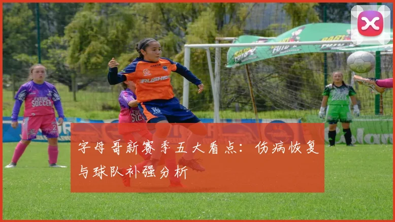 字母哥新赛季五大看点：伤病恢复与球队补强分析