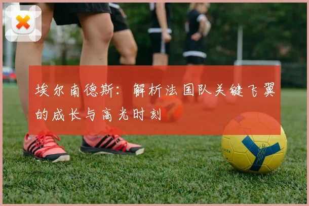 埃尔南德斯:解析法国队关键飞翼的成长与高光时刻